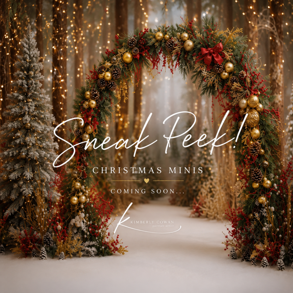 Midland Texas Photographer Kimberly Cowan Photography Christmas Mini Sessions featuring a magical woodland set with snowy trees, twinkle lights, red and gold holiday décor.
